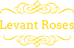 Levant Roses