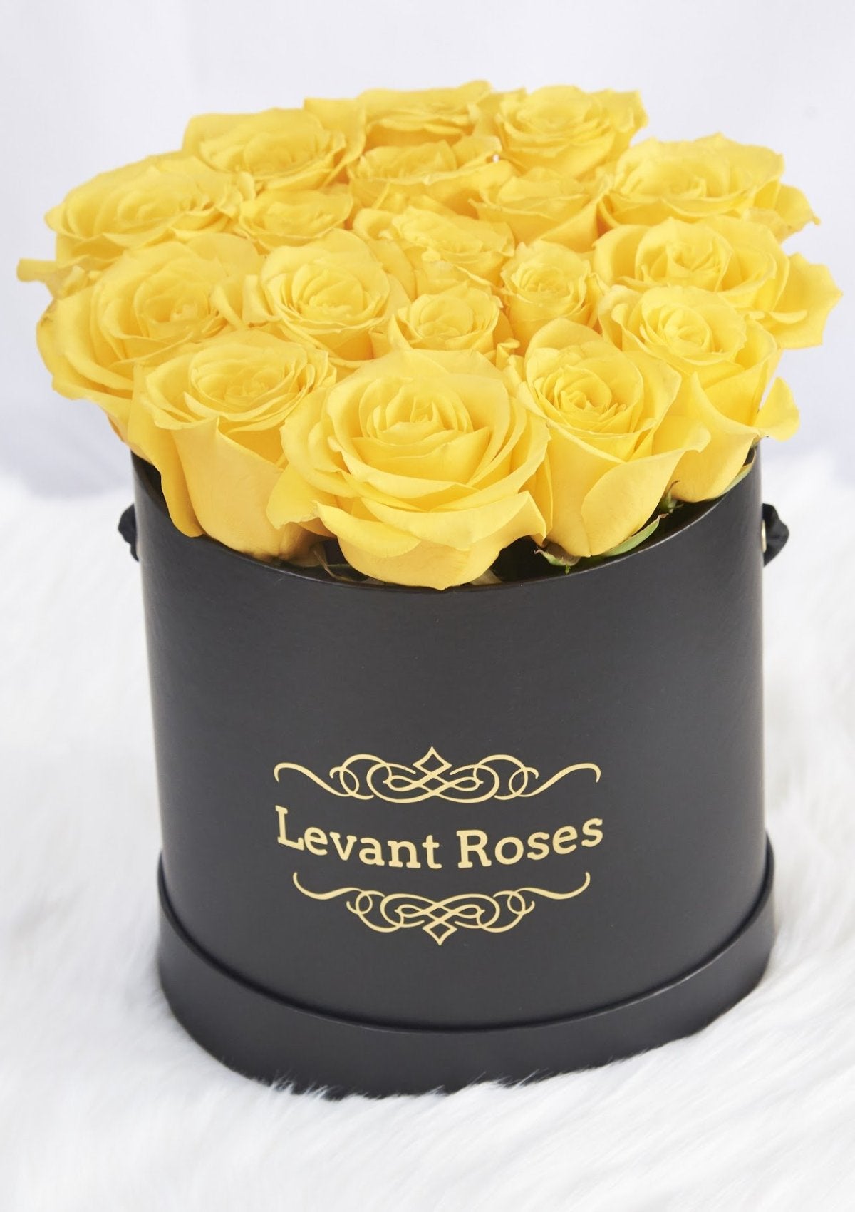Yellow roses / round box