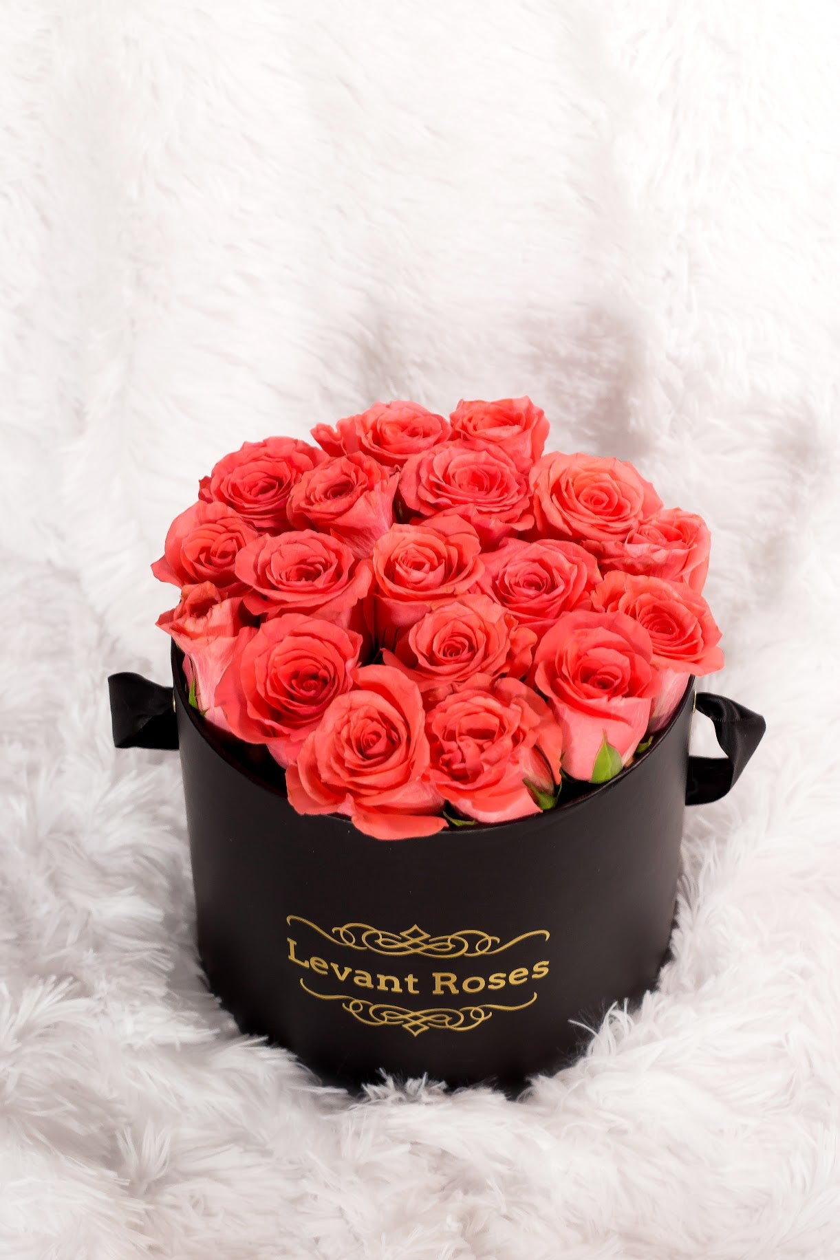 Orange roses / round box