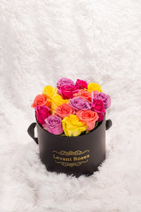 Rainbow roses / round box